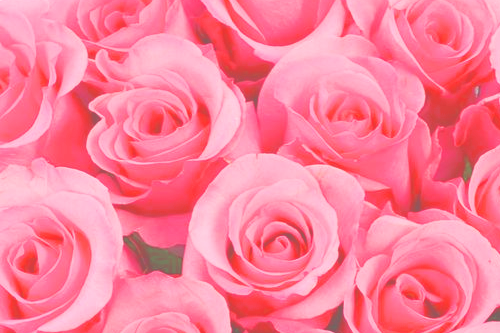 Mother's Day 2019