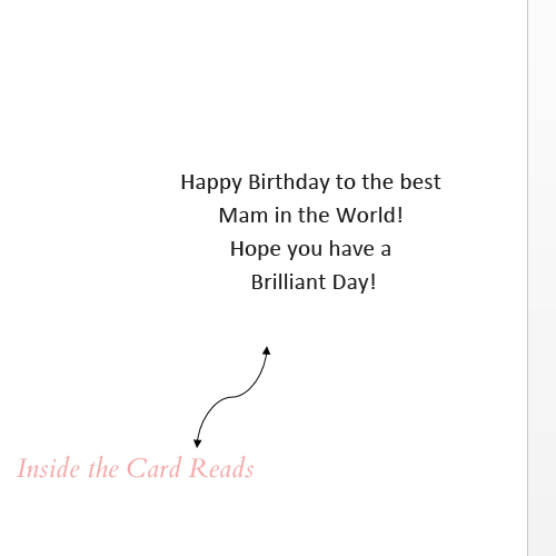 Happy Birthday Birthday to the Best Mam Ever!